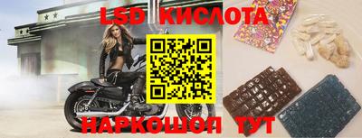 ПСИЛОЦИБИНОВЫЕ ГРИБЫ Донской