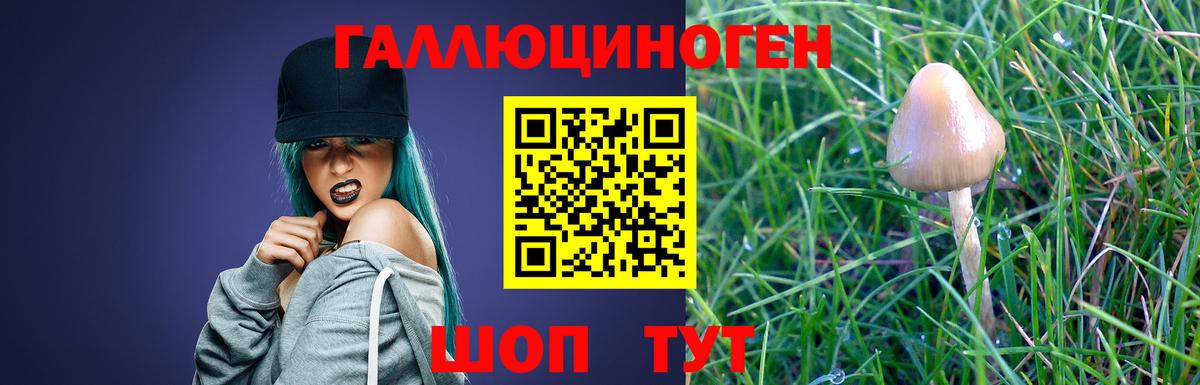 Псилоцибиновые грибы мухоморы Набережные Челны